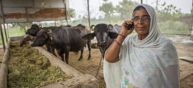 56 years old Kamla Devi listens to messages of weather and best climate friendly crop practices on her mobile phone. Credit: Prashanth Vishwanathan / CCAFS