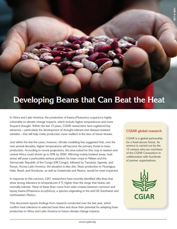 cover-heat-beans